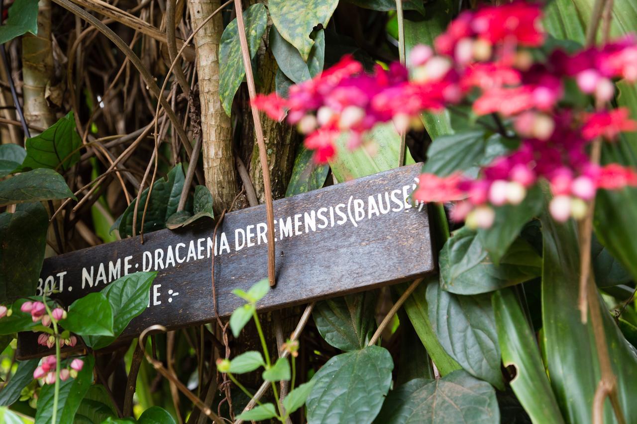 Aishi Machame Moshi Exterior foto