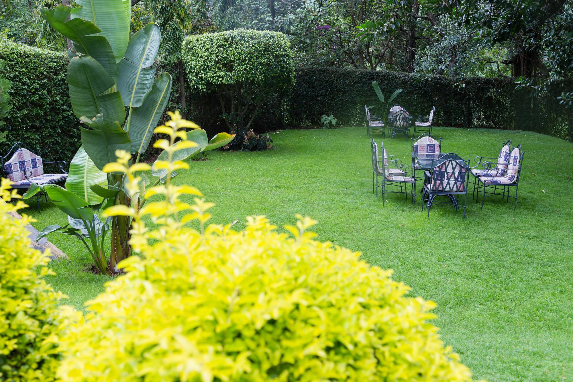 Aishi Machame Moshi Exterior foto